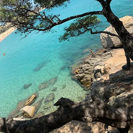 Privee Sans Vis A Vis A 4 Min De Platja D'aro Calonge (Catalonia)
